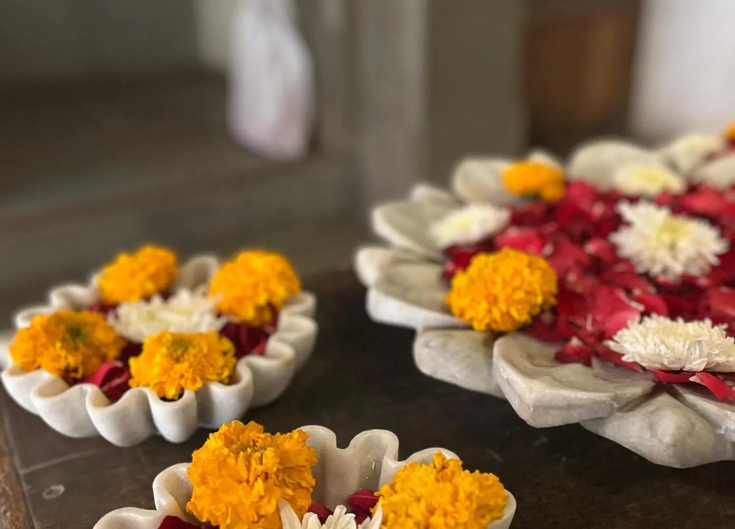 Madri Haveli Hotel Udaipur 3*,